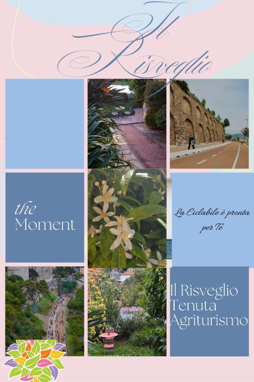 Tenuta Agriturismo IL RISVEGLIO