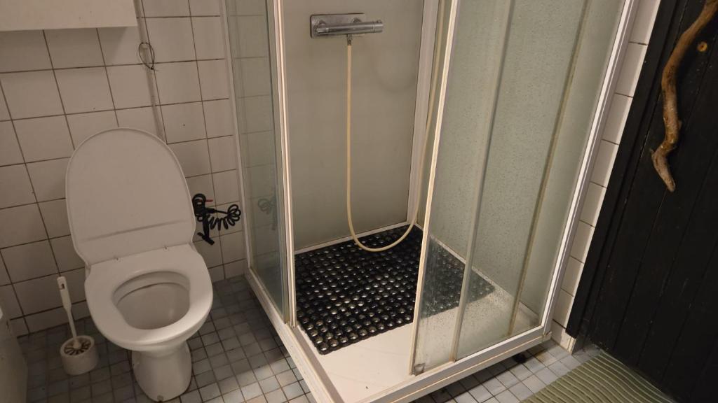 a bathroom with a shower and a toilet in a stall at Private room in a 250 years old house in Helsinki