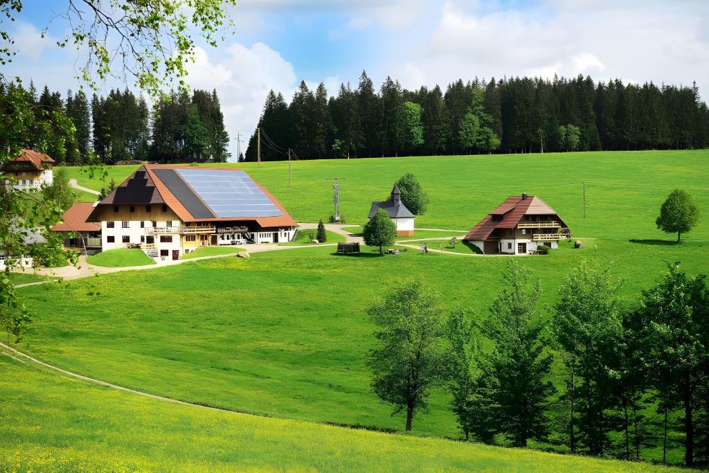Příroda nedaleko apartmánu