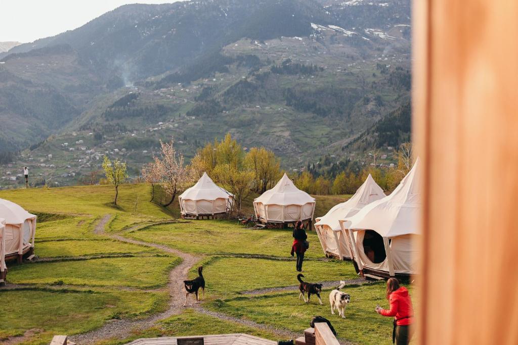 Příroda nedaleko luxury tent