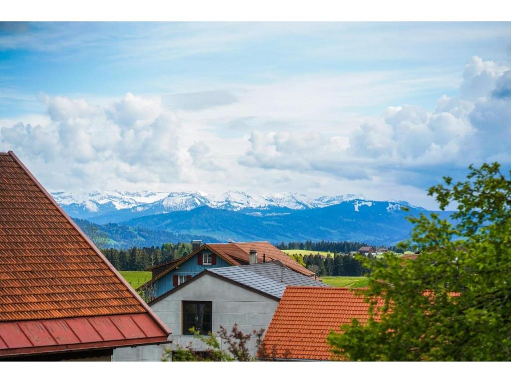 Příroda nedaleko apartmánu