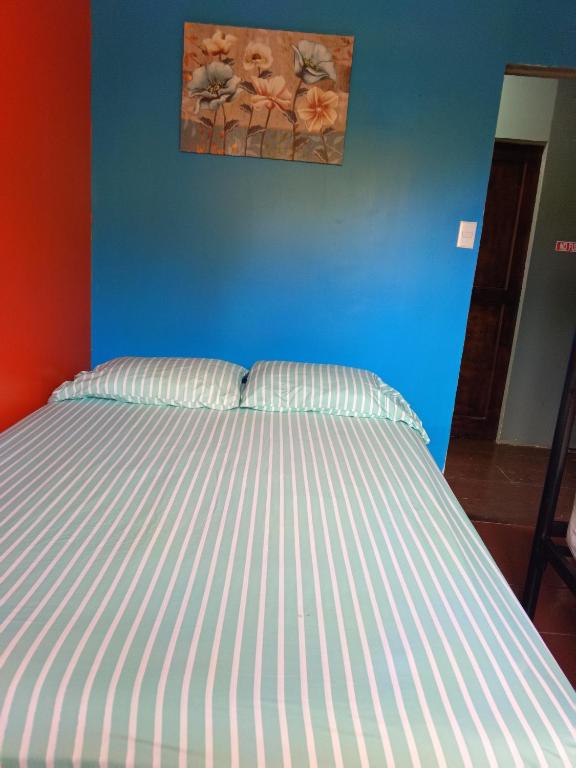 a bed in a bedroom with a blue wall at Hostal Vista Boquete in Bajo Boquete
