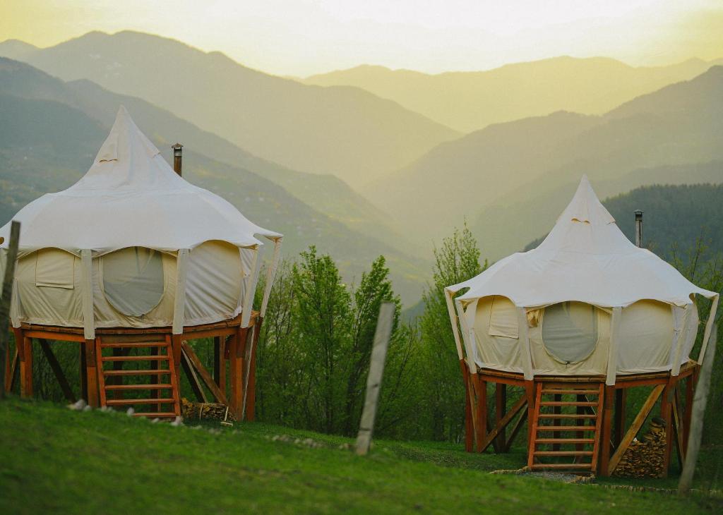 Příroda nedaleko luxury tent