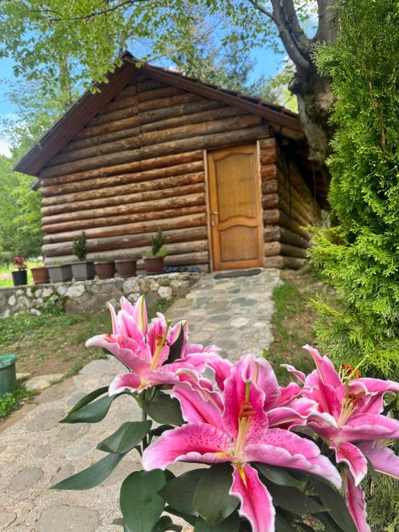 a log cabin with pink flowers in front of it at Guest house Hyrmet Demushi in Valbonë