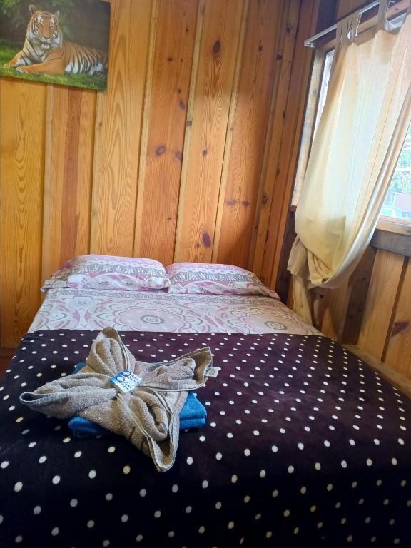 a stuffed animal laying on a bed in a room at Hostal Vista Boquete in Bajo Boquete