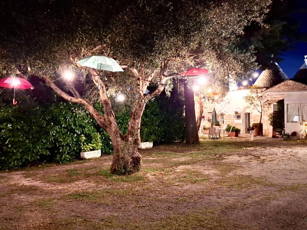 Zahrada ubytování Mirella Charming