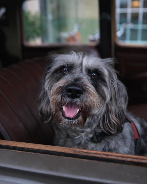 Gonville Hotel - Resim 13