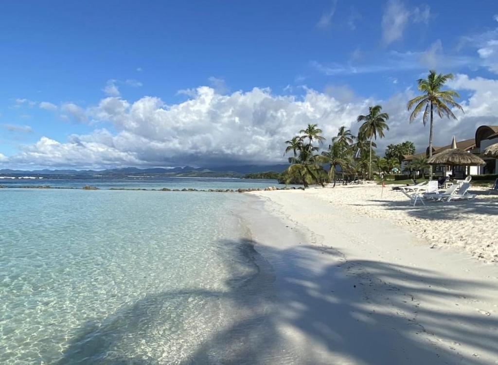 Φυσικό τοπίο κοντά σε αυτό το διαμέρισμα
