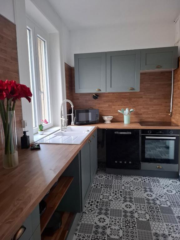 une cuisine avec un évier et un plan de travail dans l'établissement Sedan, ville d histoire, à Sedan