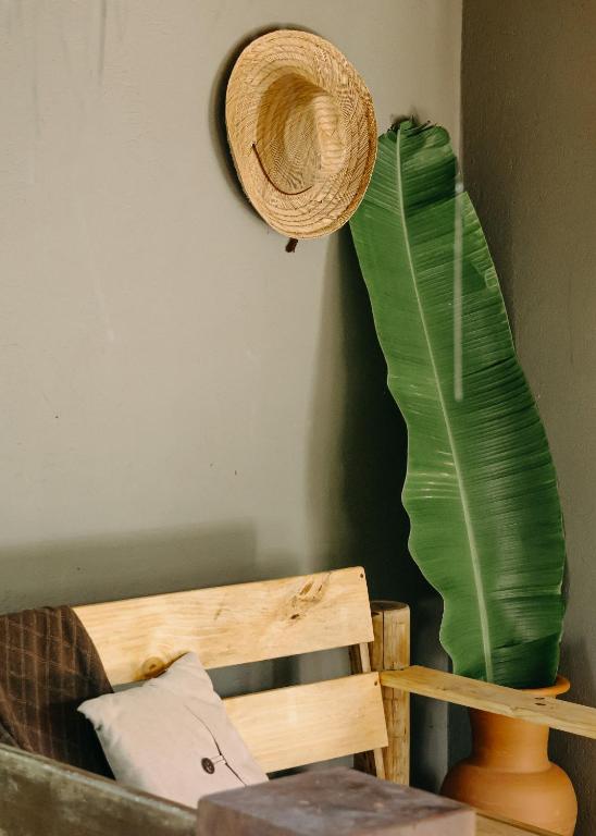 a hat and a large green plant on a wall at Na Villa dos Algodões in Marau