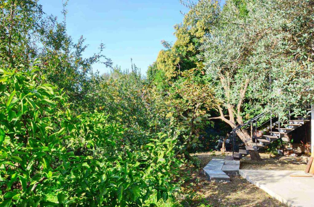 a row of trees with stairs in a park at Apartments Spasoje in Kotor