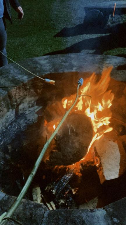 Fotografie z fotogalerie ubytování Cabanas Leão da Tribo de Judá v destinaci Canela