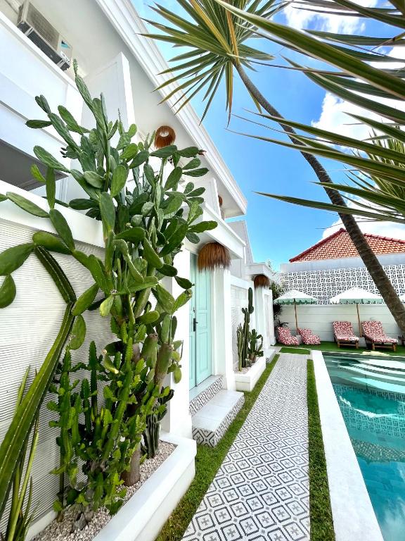 Kaktus Boutique Apartments Bali - ADULTS ONLY - 2