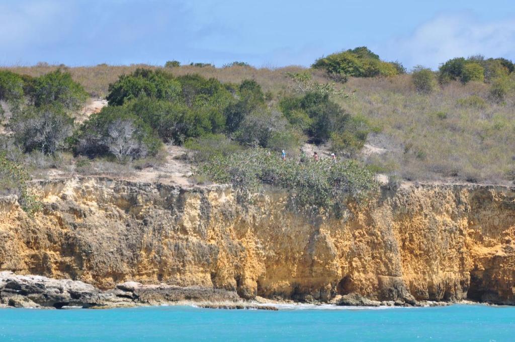 Una ladera rocosa con árboles y el agua azul en Rustic cabin in the heart of the fields of Pitahaya, en Cabo Rojo