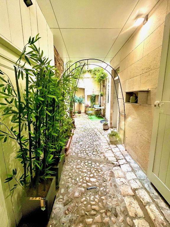 un couloir vide avec des plantes dans un bâtiment dans l'établissement Le Logis des Templiers Vieux Port, à La Rochelle