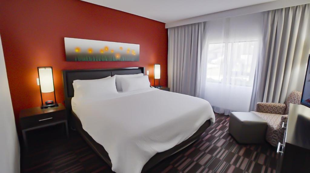 Holiday Inn Irving Las Colinas, an IHG Hotel - 