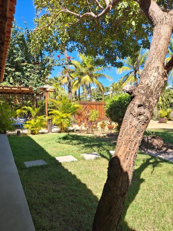 a tree that is standing in the grass at Recanto Verde - Praia de Santo Antônio in Diogo