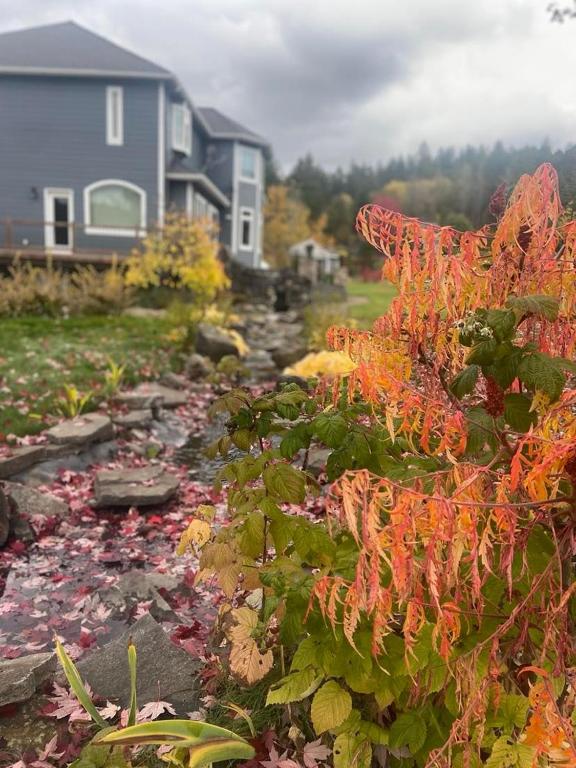 a house and a garden with flowers on the ground at 2 spaces More Space with 2 units at same location PNW Retreat in Philomath