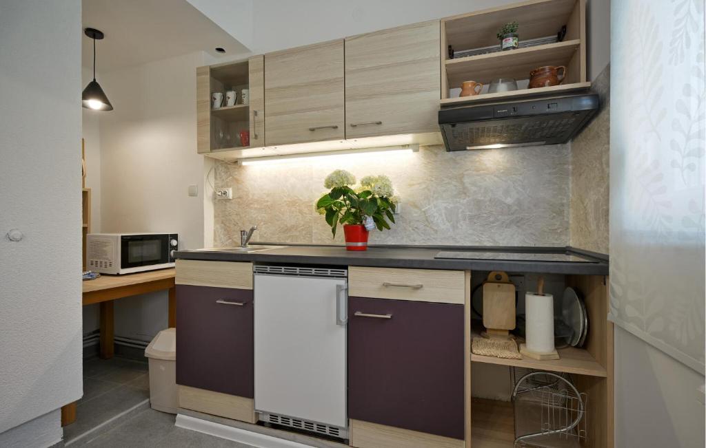 Kuchyňa alebo kuchynka v ubytovaní Cozy Home In Breznicki Hum