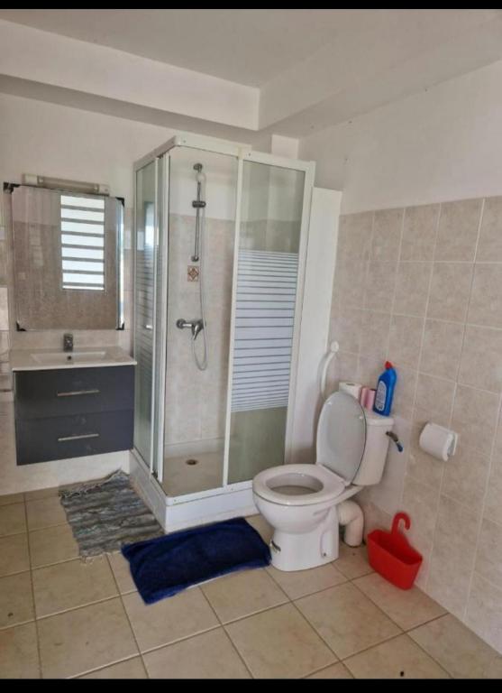 Koupelna v ubytování Ti'Eva appartement F3 avec piscine partagée