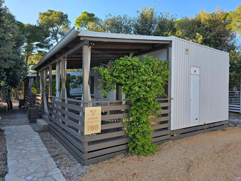Zahrada ubytování Holiday Homes Lavanda - Biograd na Moru
