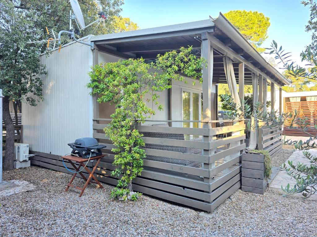 Zahrada ubytování Holiday Homes Lavanda - Biograd na Moru