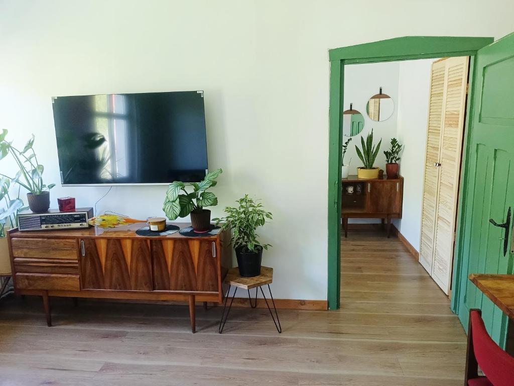 a living room with a tv on a wall with potted plants at Stacja Srebrna Góra in Srebrna Góra