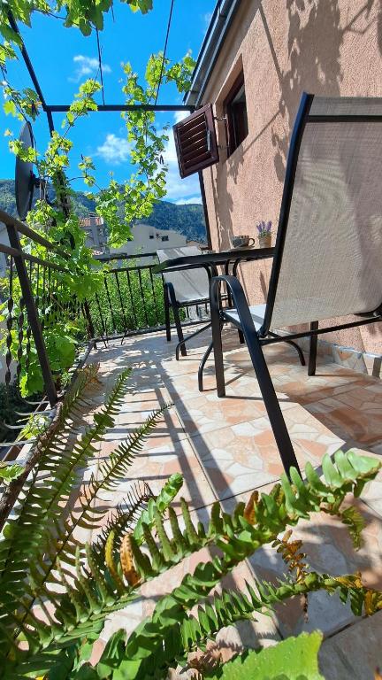 Apartments Škaljari - 10