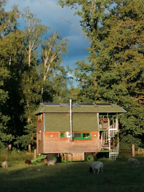 Zahrada ubytování Weidmannsruh Natur pur - exklusives Tiny house