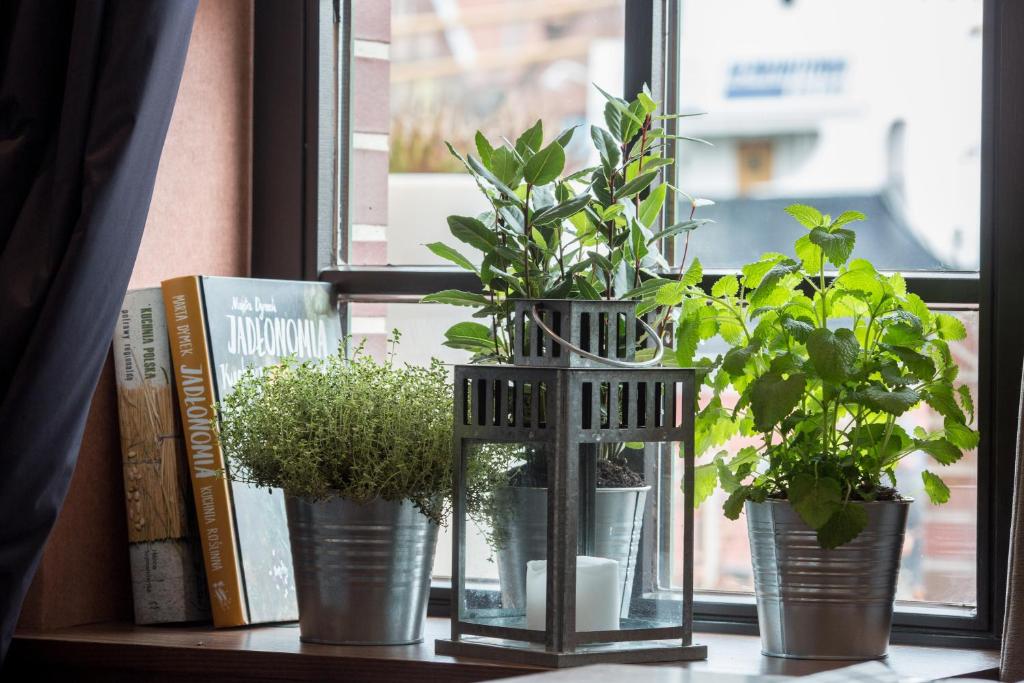 Hotel Hanza - Resim 45