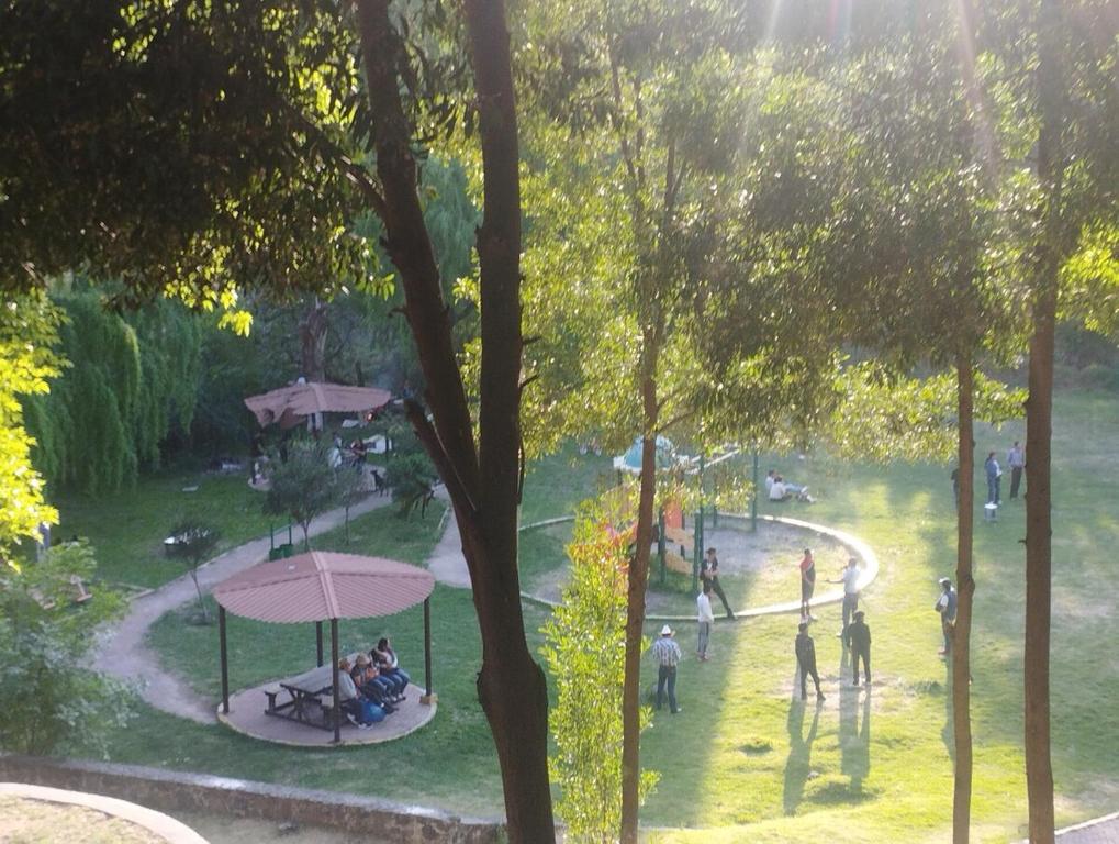 Huéspedes de Jacarandas
