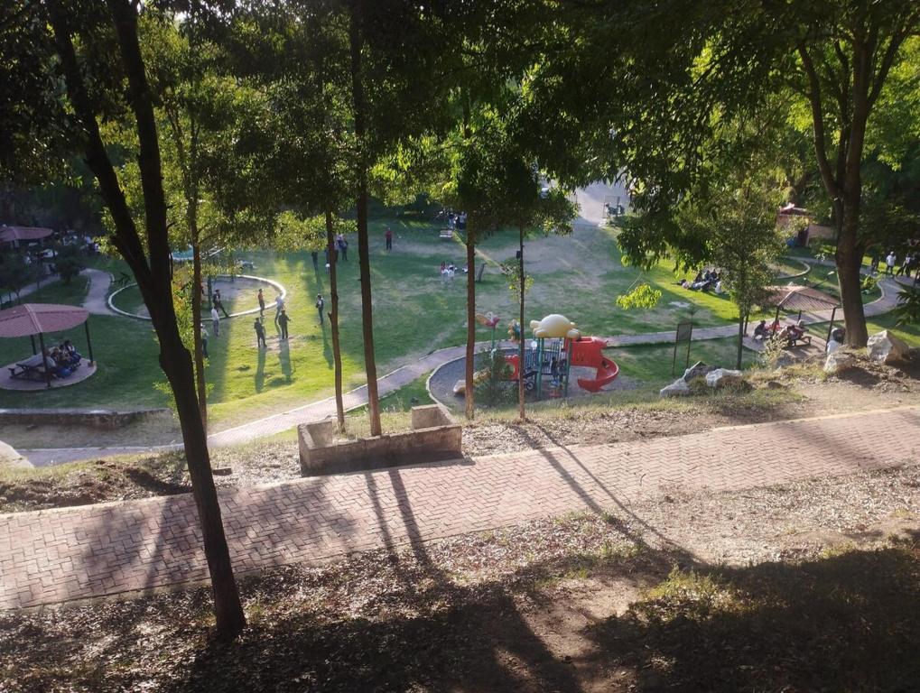 Un jardín fuera de Jacarandas