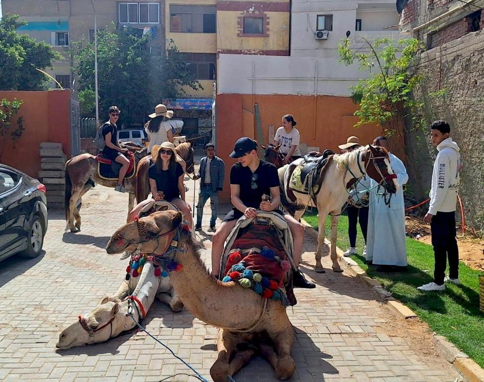 Hosté ubytování Florya pyramids Palace
