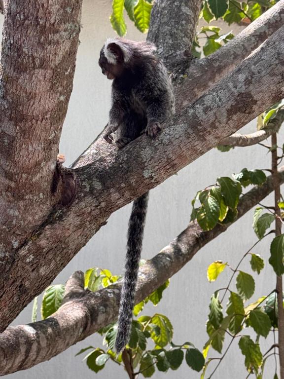 Afbeelding uit fotogalerij van Suíte 6 - Village Capixaba in Gravatá
