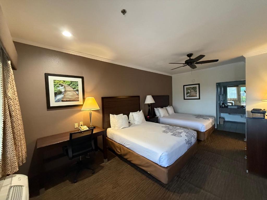 Days Inn by Wyndham Navasota - クイーンルーム クイーンベッド2台