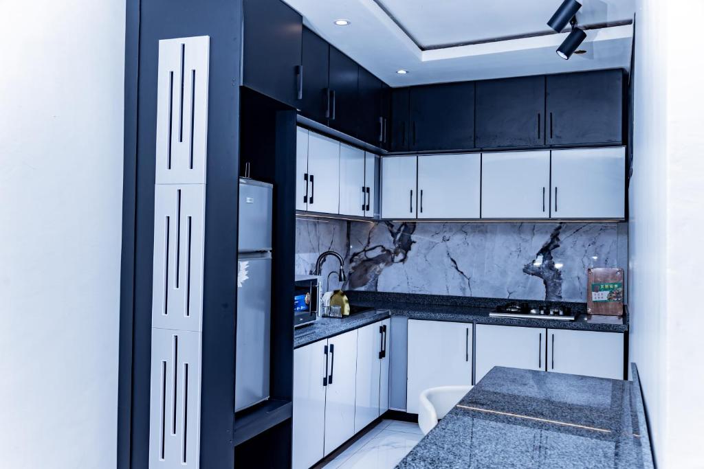 Kuchyň nebo kuchyňský kout v ubytování Pinorich Hotel