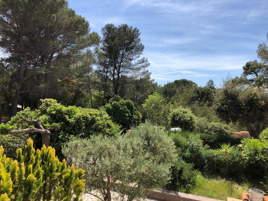 un jardin avec de nombreux arbres et buissons dans l'établissement Capitou, à Fréjus