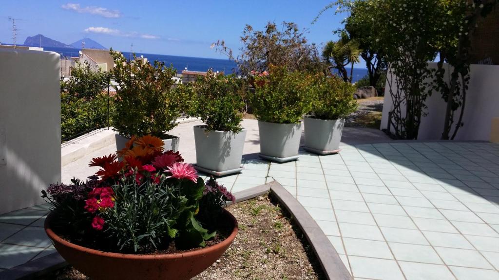 Zahrada ubytování La Zagara Hotel