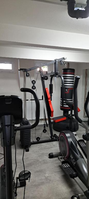 Fitness centrum a/nebo fitness zařízení v ubytování VilaVala