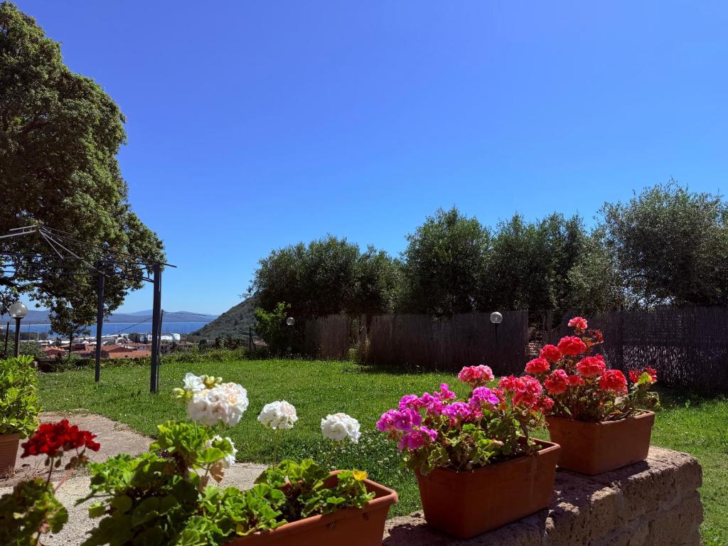 a garden with flowers in pots on a wall at La Serenella in Porto Ercole