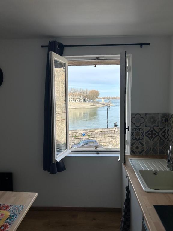 - une fenêtre dans la cuisine avec vue sur l'eau dans l'établissement La Vue du Rhône, à Arles