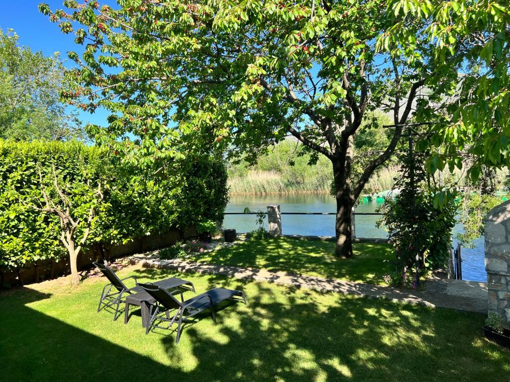 ein Hof mit Stühlen und einem Baum und einem See in der Unterkunft Odmor uz Trebišnjicu in Trebinje