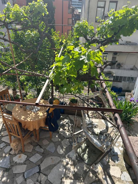 A balcony or terrace at Didi House