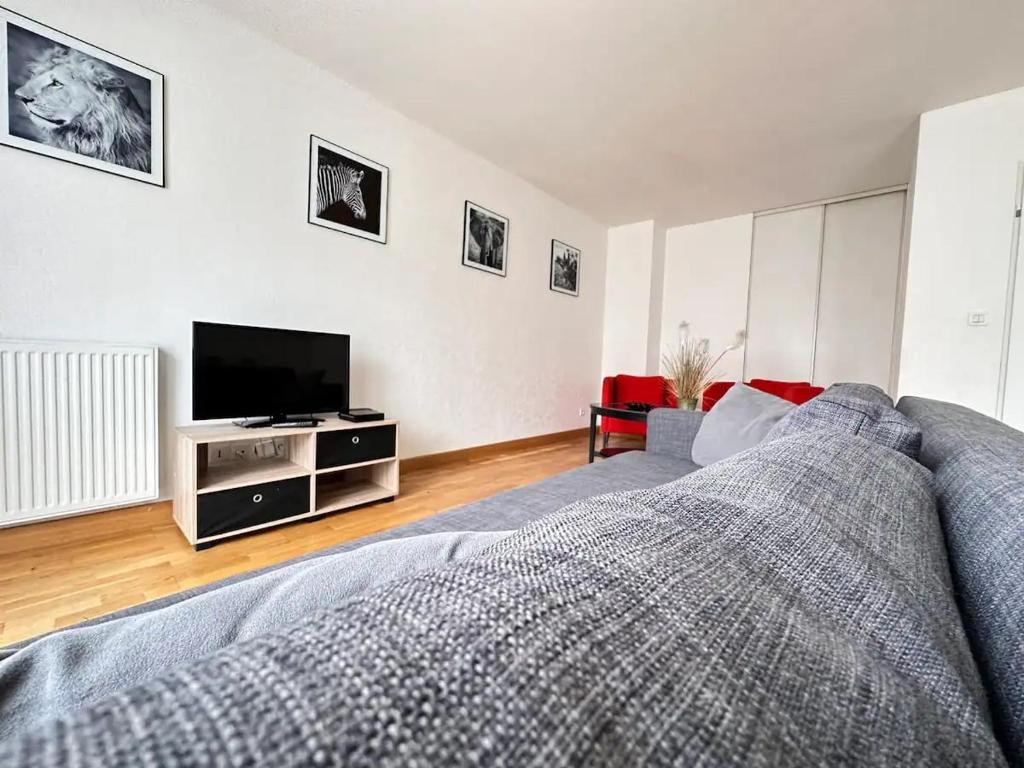 une chambre avec un lit et une télévision à écran plat dans l'établissement Venise 6 couchages avec terrasse hyper centre, à Reims