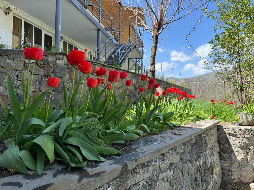 Zahrada ubytování Hotel-GVALA
