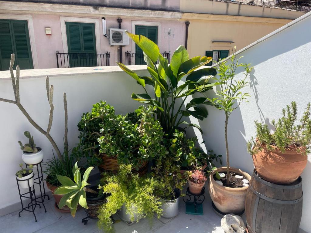 Zahrada ubytování Terrazza alla Cala