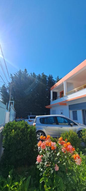 Zahrada ubytování Villa LIKAJ