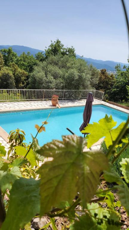 un papillon posé sur une plante à côté d'une piscine dans l'établissement Lou Caliandro, à La Celle-sous-Gouzon