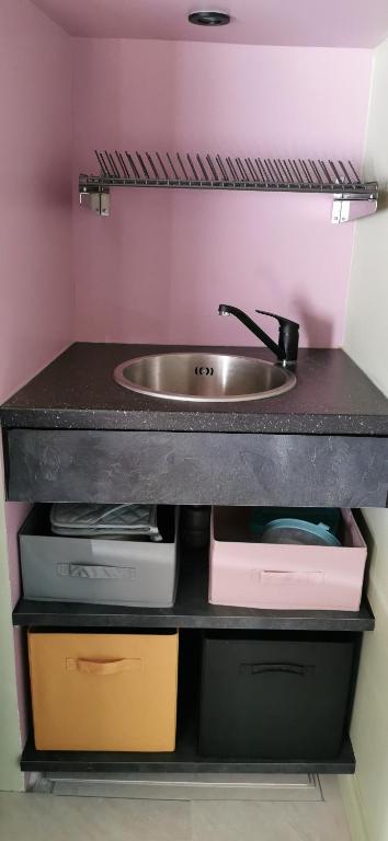 - un comptoir de cuisine avec évier et étagère dans l'établissement Un nid d'amour, à La Celle-sous-Gouzon