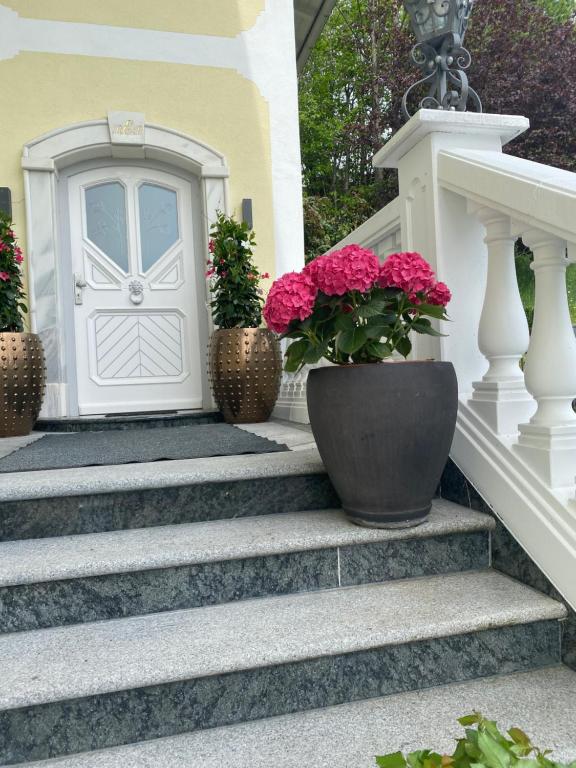 Zahrada ubytování Appartement Bergblick I